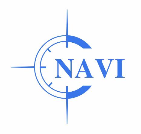 NAVI LLC Logo